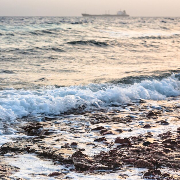 Navigare sulla costa del Golfo di Aqaba sul Mar Rosso in inverno