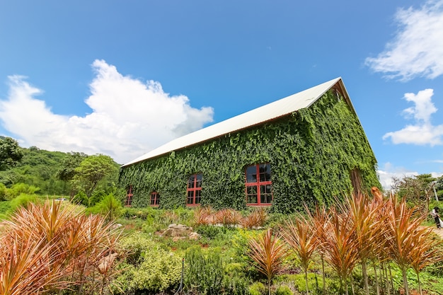 NBig casa circondata da piante verdi chiamato Birder's Lodge, Nakhonratchasima, Thailandia