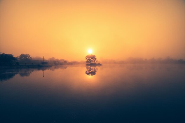 Nebbia all'alba