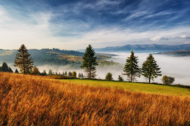 Nebbia che copre le montagne verdi