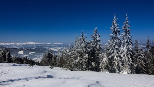 Nebbia che si muove sulla montagna in inverno con un cielo a forma di stella