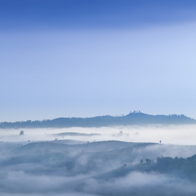 Nebbia coperta di montagne e foreste al mattino.