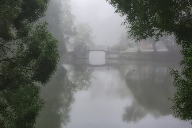 nebbia della città del parco estivo / bellissimo paesaggio della città