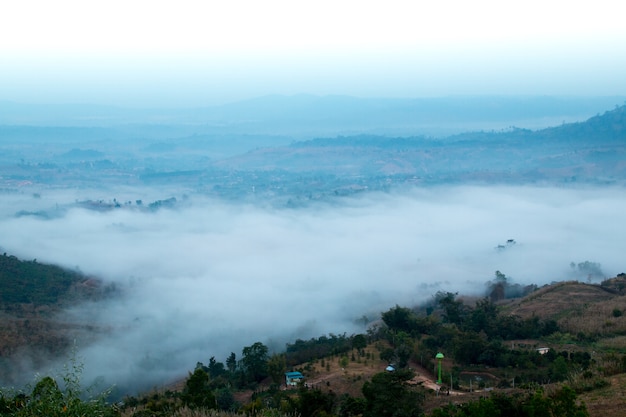 Nebbia di montagna