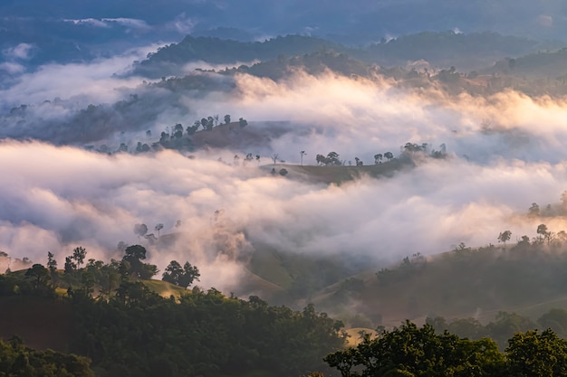 Nebbia e luce del mattino