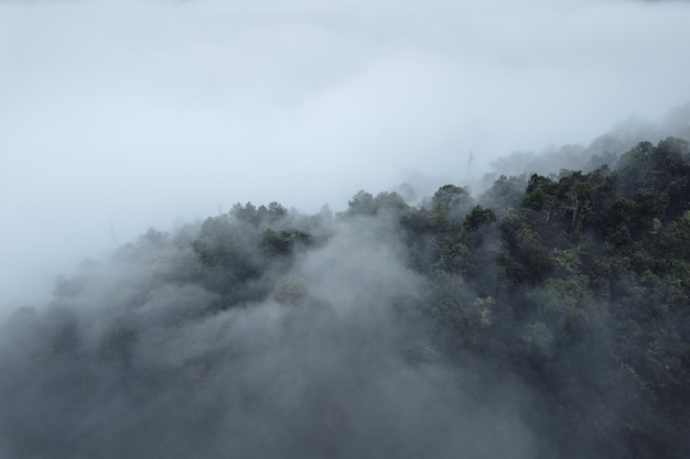 Nebbia e montagne al mattino