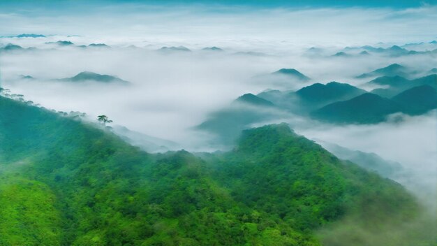 Nebbia e nuvola di montagna nel paesaggio della giungla