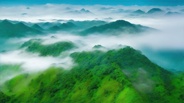 Nebbia e nuvola di montagna nel paesaggio della giungla