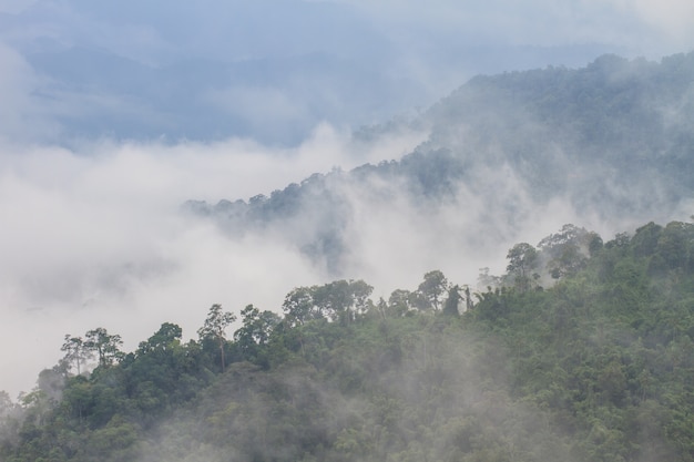 Nebbia e nuvole paesaggio montano