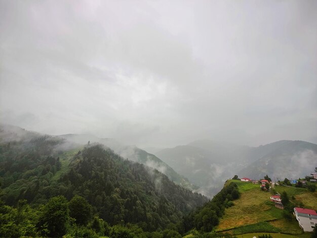 Nebbia e paesaggio