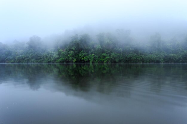 nebbia e torrente nella forestaIl lago nella foresta pluviale a nord della Thailandia