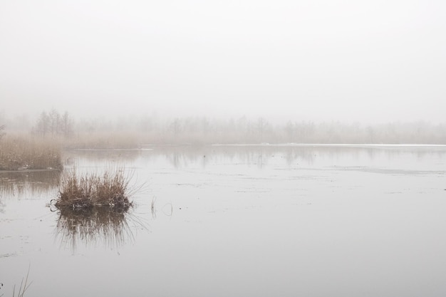 Nebbia fitta sopra il fiume e una barca