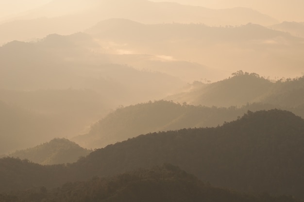 Nebbia galleggiante sopra mountian in mattinata