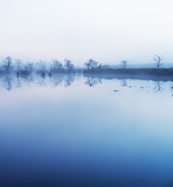 Nebbia in acqua