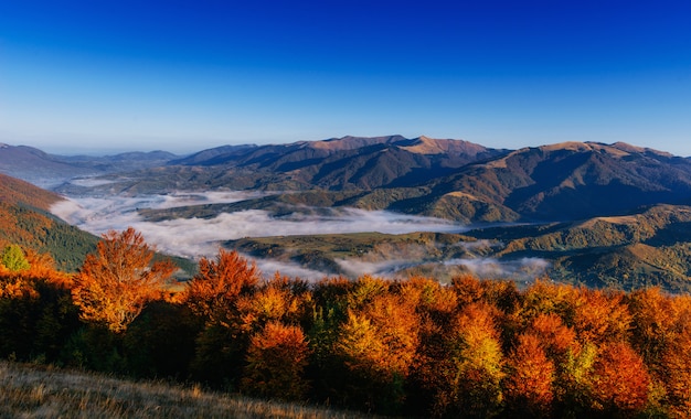 Nebbia in autunno montagne.