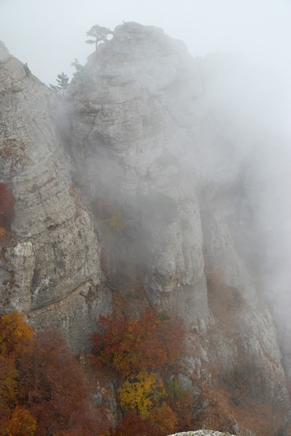 Nebbia in montagna- paesaggio con nuvole e rocce