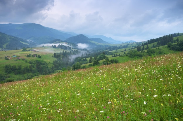 Nebbia in montagna