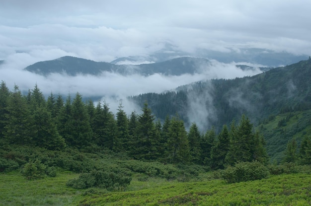 nebbia in montagna