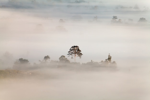 Nebbia in punto di vista di Ngo di Khao Takhian a Khao-kho Phetchabun, Tailandia