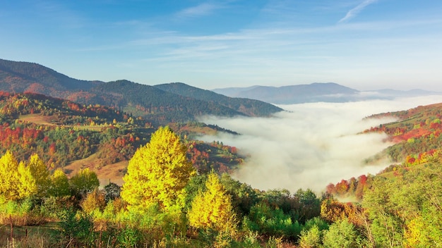 Nebbia mattutina sopra la valle tra le montagne alla luce del sole Nebbia e bella natura dei Carpazi filmati Ucraina