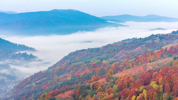 Nebbia mattutina sopra la valle tra le montagne alla luce del sole Nebbia e bella natura dei Carpazi filmati Ucraina