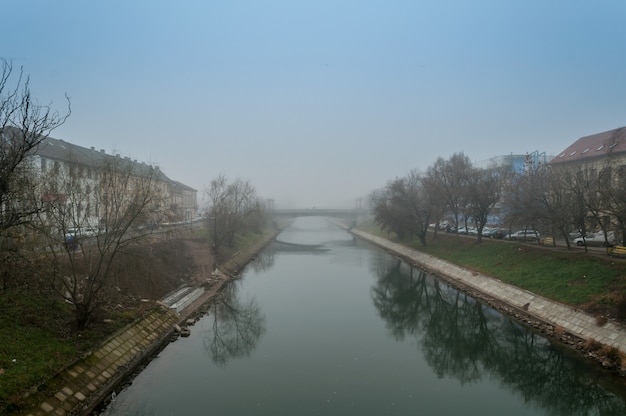 Nebbia mattutina su un fiume. Scena invernale