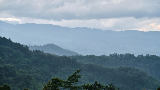 Nebbia mistica che ricopre le dolci colline