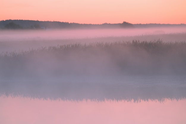 Nebbia rosa all'alba sul fiume