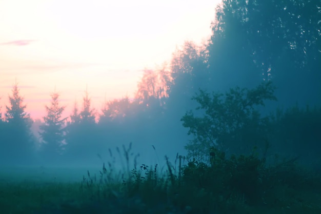 Nebbia serale su un campo in campagna in estate.