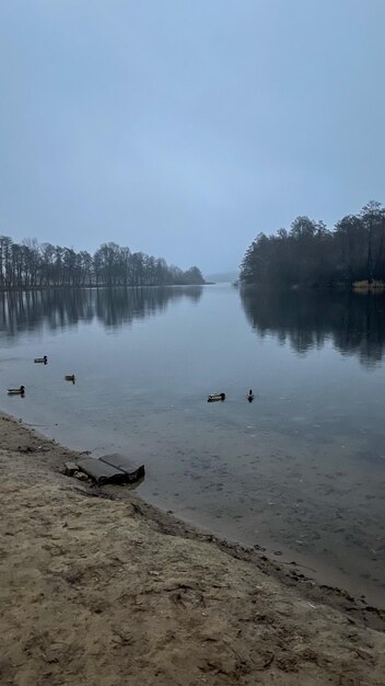 nebbia serale sul lago