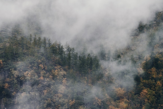 Nebbia sopra la collina di montagna, paesaggio mozzafiato nel tardo autunno