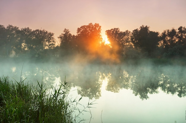 Nebbia sul fiume