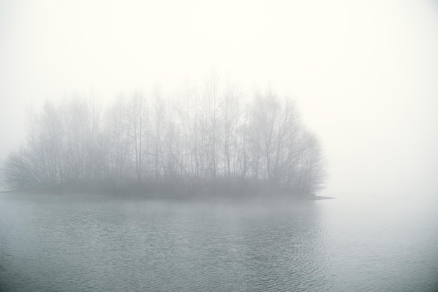 Nebbia sul lago al mattino presto Sagome di alberi spogli sull'isola riflessa nelle increspature dell'acqua