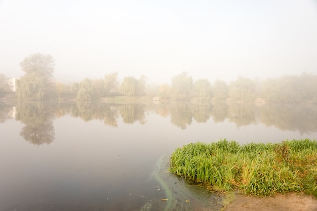 nebbia sul lago con riflesso nell'acqua