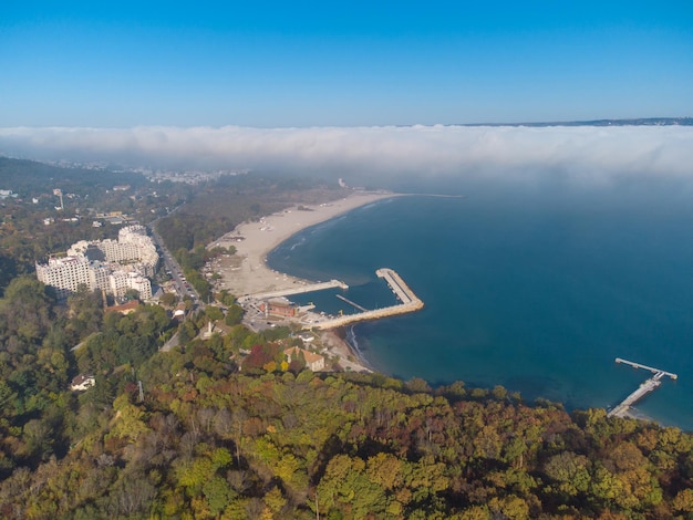 Nebbia sul mare e sulla foresta sulla riva vista aerea