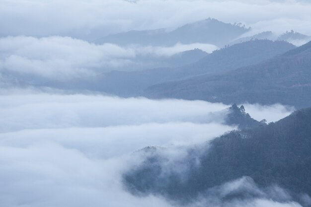 Nebbia sulla montagna Thailandia