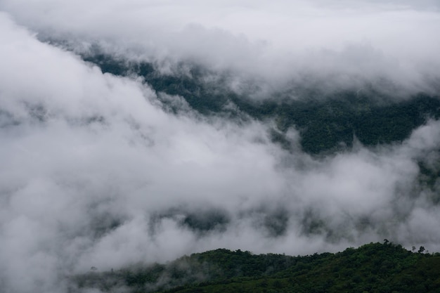 Nebbia sulle montagne in Thailandia Paesaggio invernale