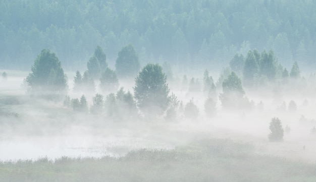 Nebbiosa alba sul fiume