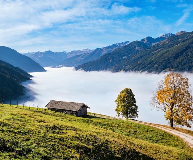 Nebbiosa mattina autunnale montagna e grandi alberi solitari vista dal sentiero escursionistico vicino a Dorfgastein Land Salisburgo Austria