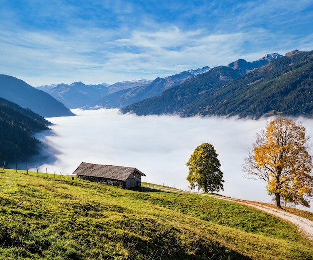 Nebbiosa mattina autunnale montagna e grandi alberi solitari vista dal sentiero escursionistico vicino a Dorfgastein Land Salisburgo Austria