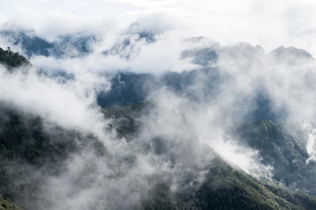 Nebbioso sulla catena montuosa in natura