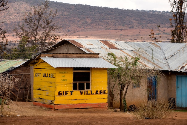 Negozio di articoli da regalo in legno giallo, Tanzania, Africa