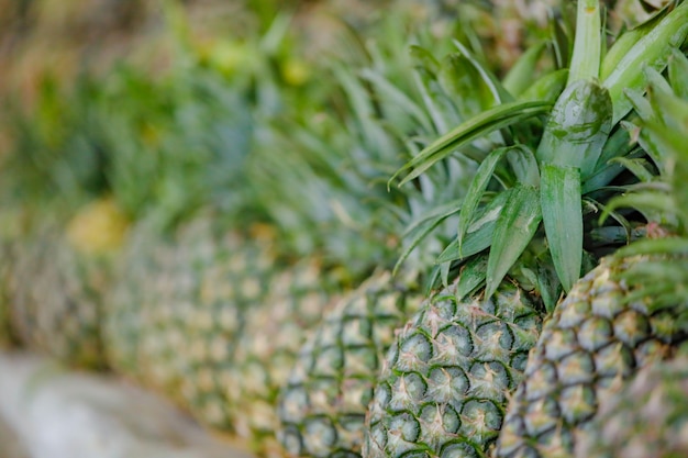 Negozio di frutta ananas