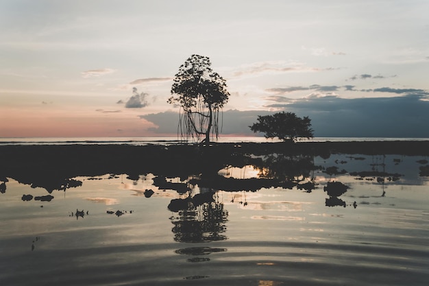 Neil Island Isole Andamane India