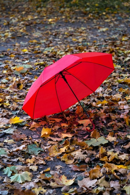 Nel parco c'è un ombrello rosso dimenticato aperto, la stagione è l'autunno.