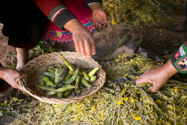 Nella cerimonia della pachamanca, varietà di carne e verdure vengono cotte sotto pietre roventi.