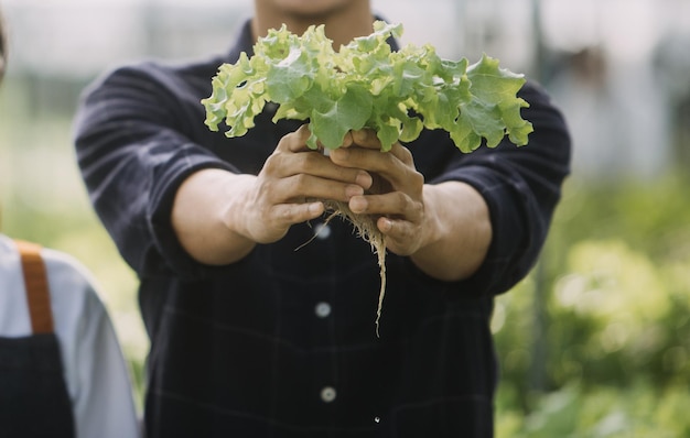 Nella serra industriale due ingegneri agricoli testano la salute delle piante e analizzano i dati con un tablet