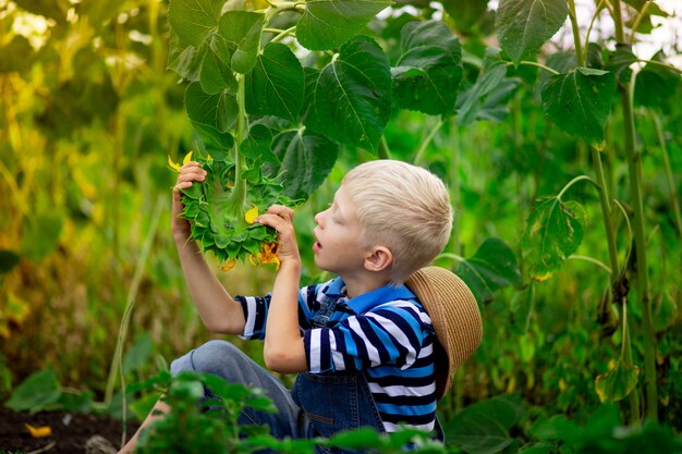 Neonato biondo che si siede in un campo con i girasoli in estate