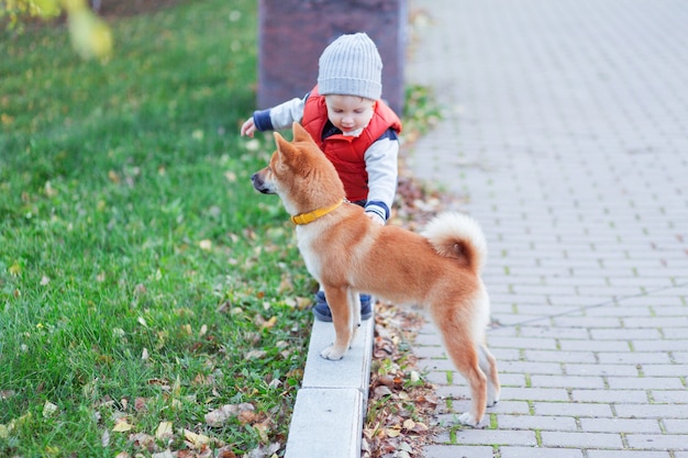 Neonato che gioca con il suo cane rosso sul prato nel parco autunnale. Il cucciolo e il bambino Shiba inu sono i migliori amici, la felicità e il concetto di infanzia spensierata