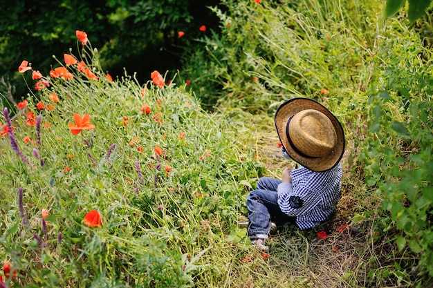 Neonato in un cappello su una priorità bassa del campo del papavero